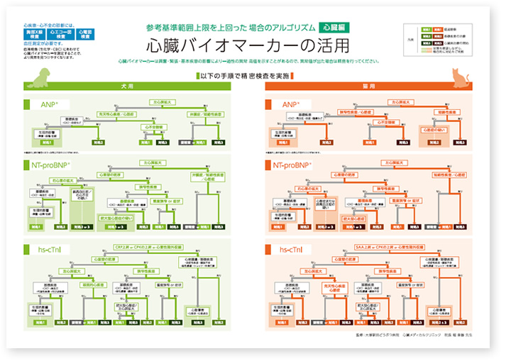 ダウンロードファイルイメージ