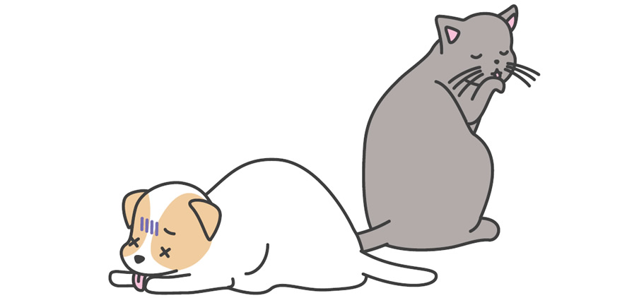 アジソン病の原因