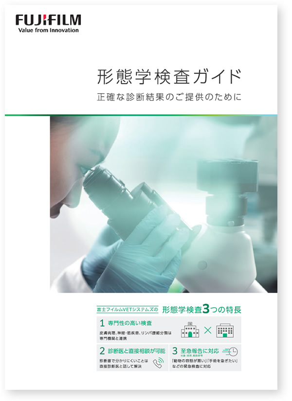 ダウンロードファイルイメージ