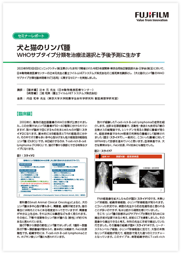 ダウンロードファイルイメージ
