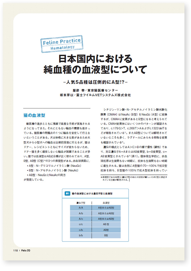 ダウンロードファイルイメージ