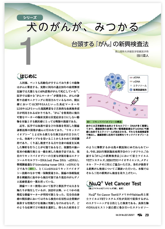 ダウンロードファイルイメージ