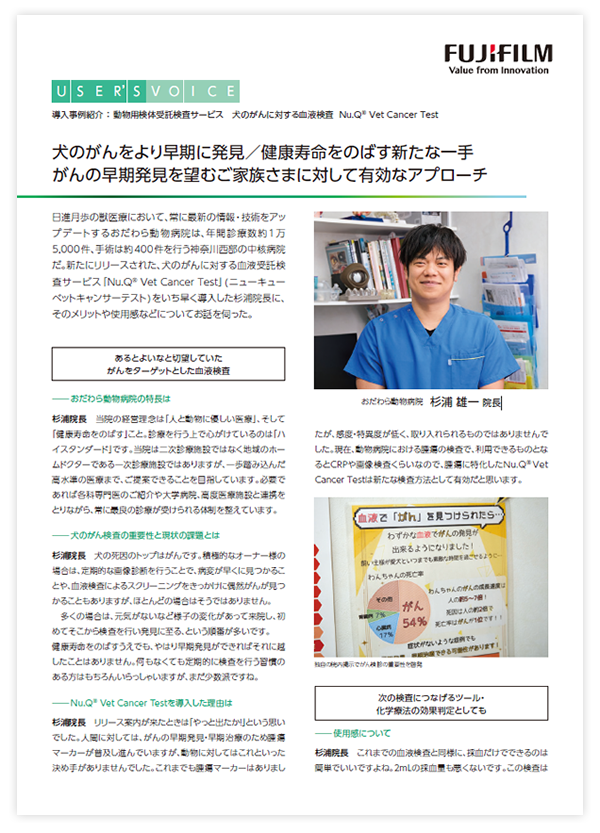 ダウンロードファイルイメージ