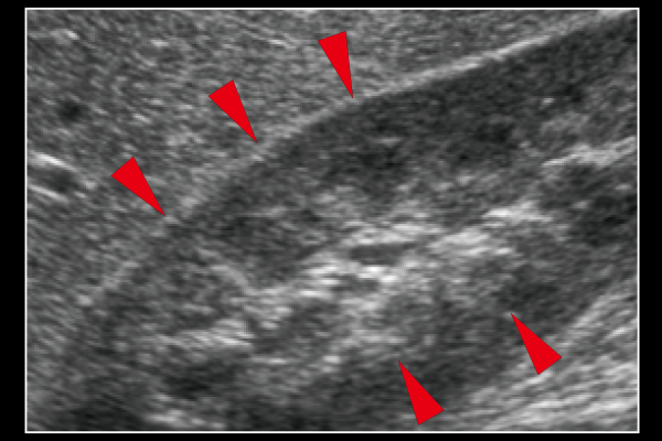 Carving Imaging OFFの画像