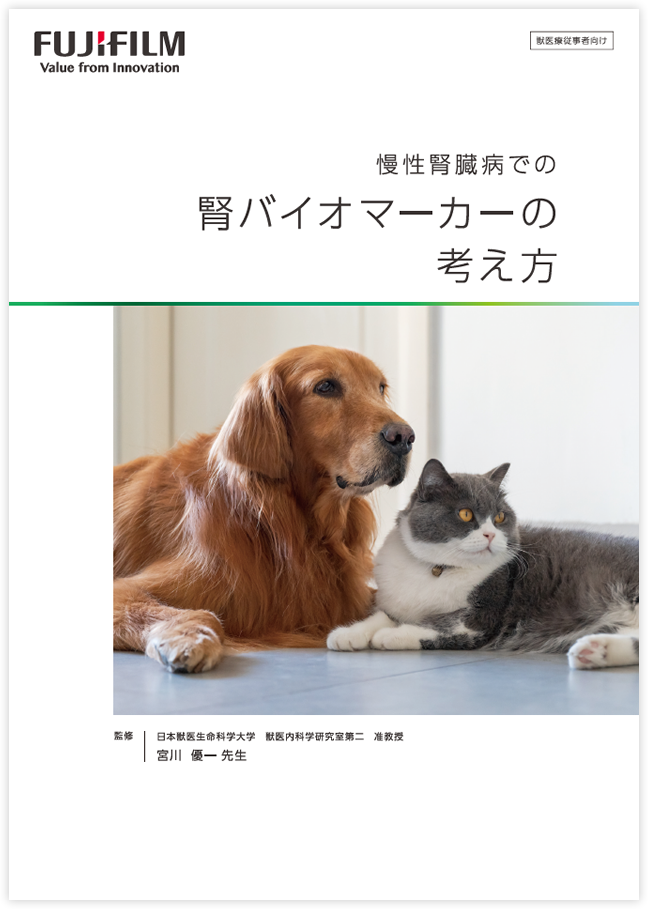 ダウンロードファイルイメージ