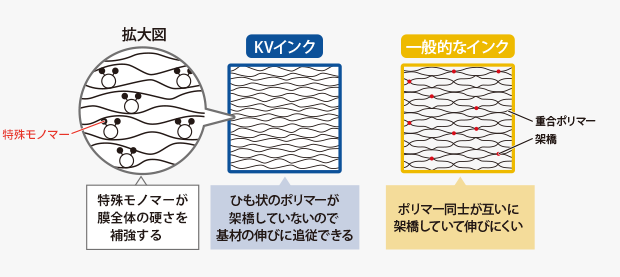 KVインク皮膜は特殊モノマーが膜全体の硬さを補強しつつ、ひも状のポリマーが架橋していないので基材の伸びに追従できることを示すイメージ図です。