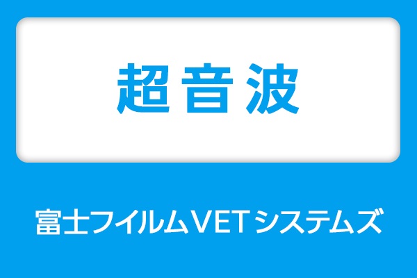 富士フイルムVETシステムズ 超音波セミナー