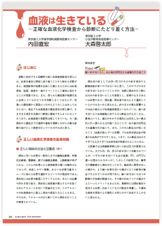 ダウンロードファイルイメージ