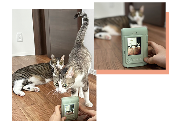 チェキで思い出づくり