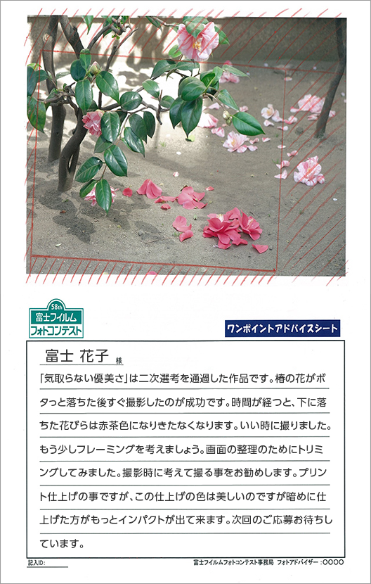 ワンポイントアドバイスのイメージ画像