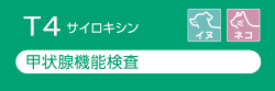 T4のアイコン​​