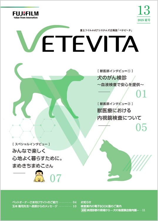 「VETEVITA」表紙イメージ