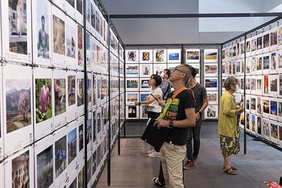 アーティストの証明写真 鬼束ちひろの代表曲「月光」をオマージュしたNFTアートフォト