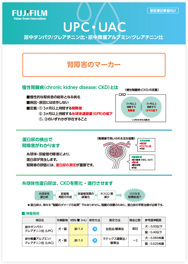 ダウンロードファイルイメージ
