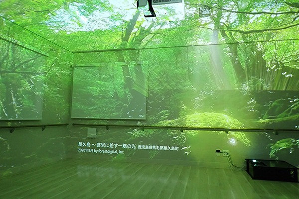uralaaを投影し、屋久島の自然が映し出されている。