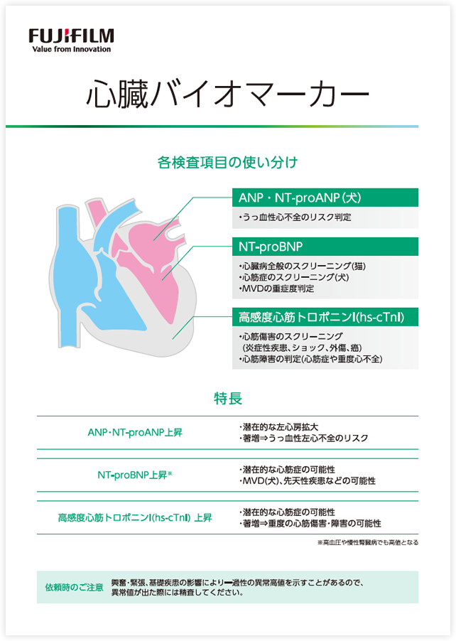 ダウンロードファイルイメージ