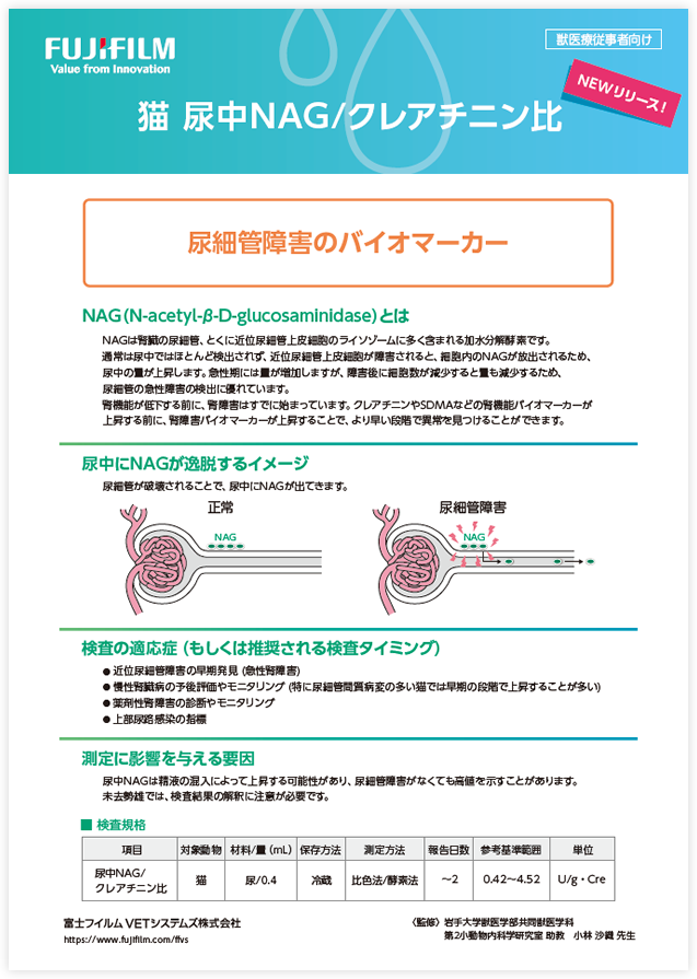 ダウンロードファイルイメージ