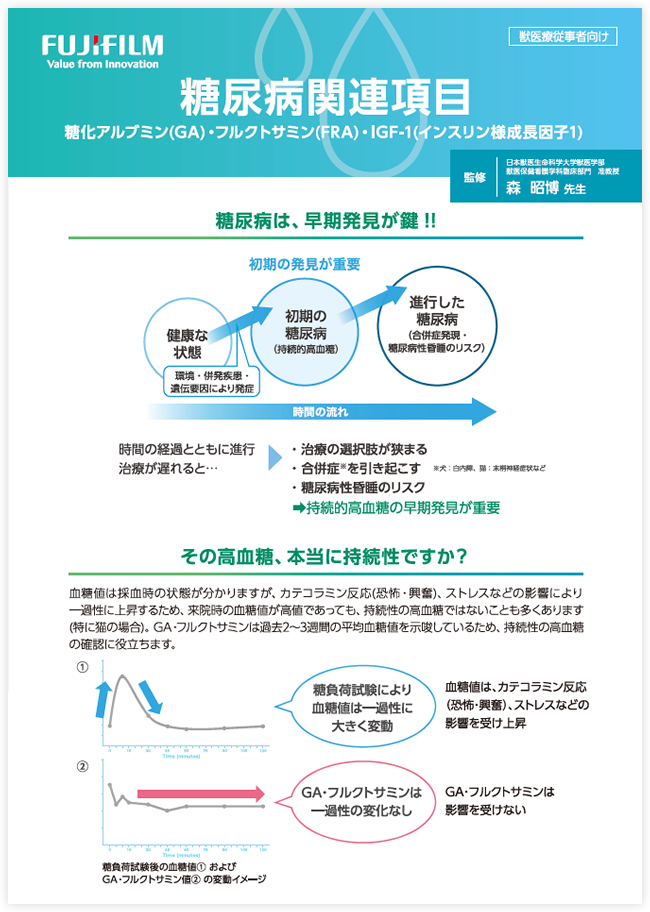 ダウンロードファイルイメージ