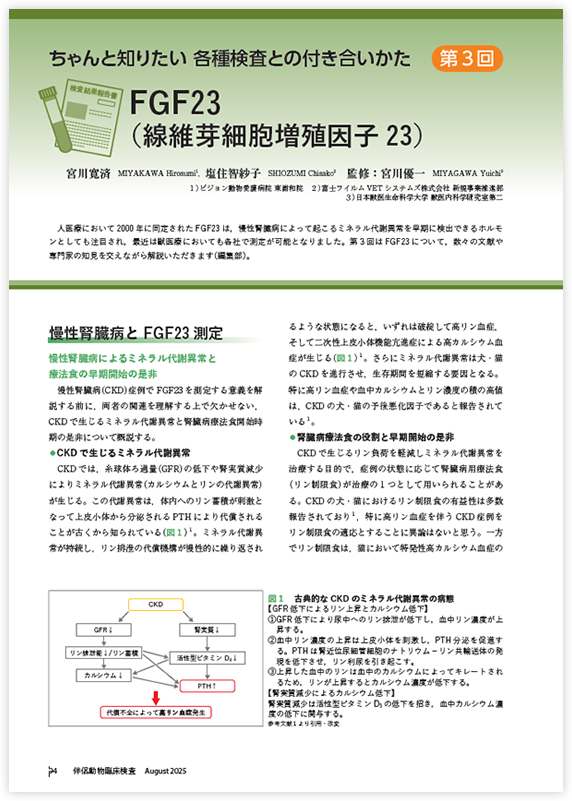 ダウンロードファイルイメージ