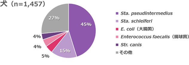 皮膚から検出された菌の割合を示す円グラフ（犬）