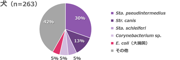 眼から検出された菌の割合を示す円グラフ（犬）