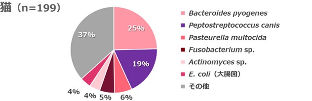 胸水・腹水から検出された菌の割合を示す円グラフ（猫）