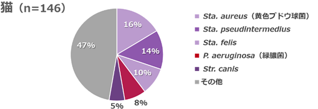 皮膚から検出された菌の割合を示す円グラフ（猫）