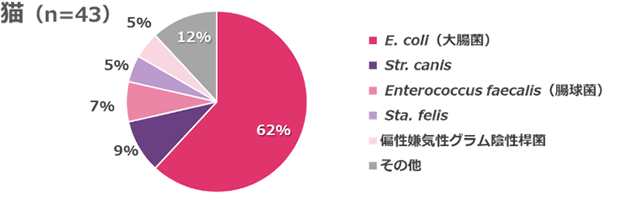 生殖器から検出された菌の割合を示す円グラフ（猫）