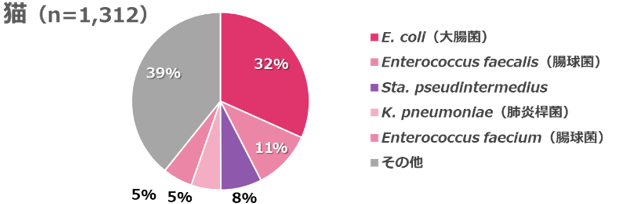 尿から検出された菌の割合を示す円グラフ（猫）
