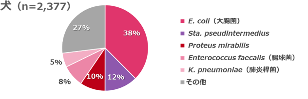 尿から検出された菌の割合を示す円グラフ（犬）