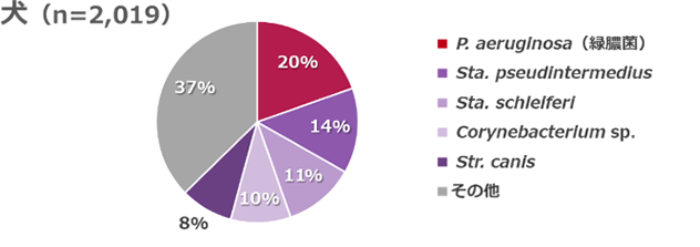 耳から検出された菌の割合を示す円グラフ（犬）