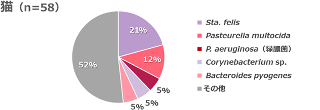 眼から検出された菌の割合を示す円グラフ（猫）