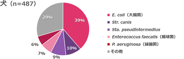 生殖器から検出された菌の割合を示す円グラフ（犬）