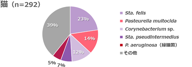 耳から検出された菌の割合を示す円グラフ（猫）