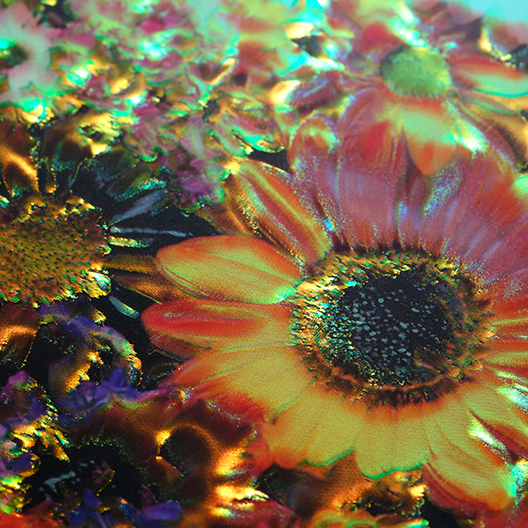 複数色の構造色サンプルのイメージ