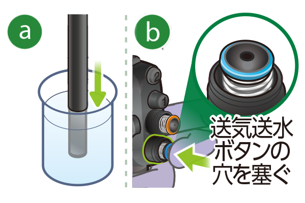 動物用内視鏡 ELUXEO Vシステム（エルクセオ ブイシステム）：洗浄