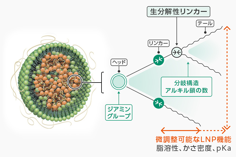 富士フイルム独自のイオン化脂質は、ジアミングループ、テール領域の間にリンカーを持っている。これらを混合することによってナノ粒子の脂溶性、かさ密度、pKaを微調整することができる。