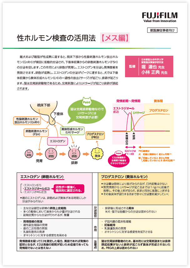 ダウンロードファイルイメージ