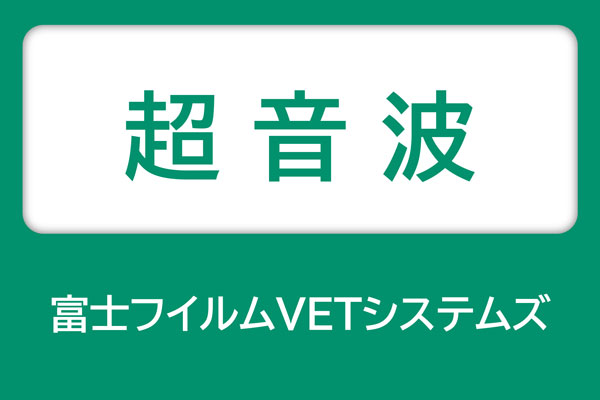 富士フイルムVETシステムズ 超音波