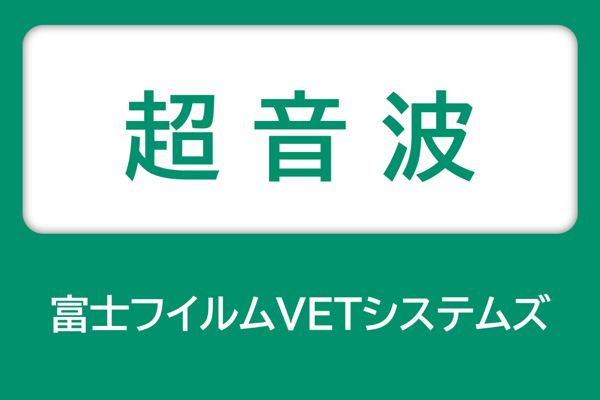 富士フイルムVETシステムズ 超音波
