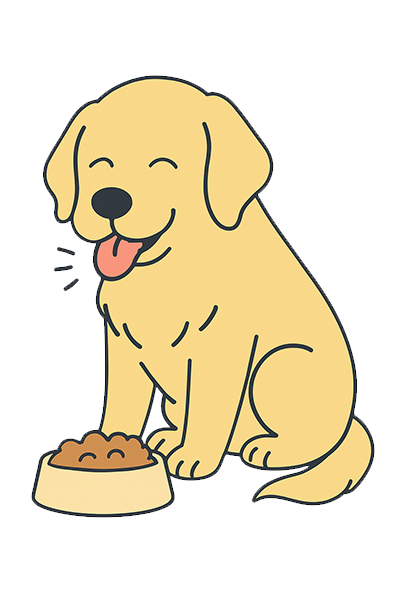 ゴールデン・レトリーバーがごはんを食べている様子