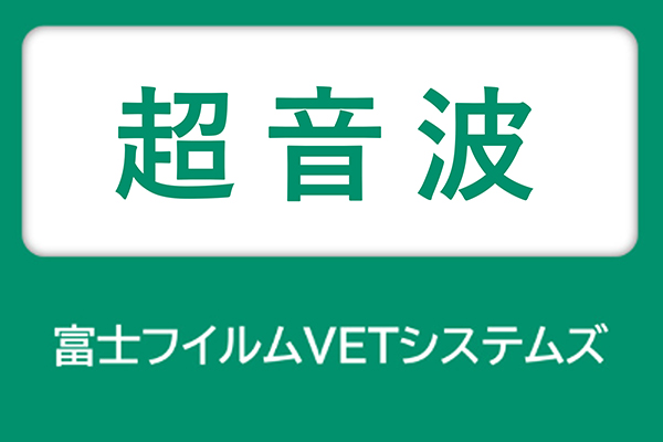 富士フイルムVETシステムズ 超音波