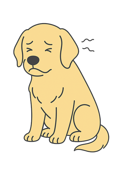 ゴールデン・レトリーバーが唸っている様子