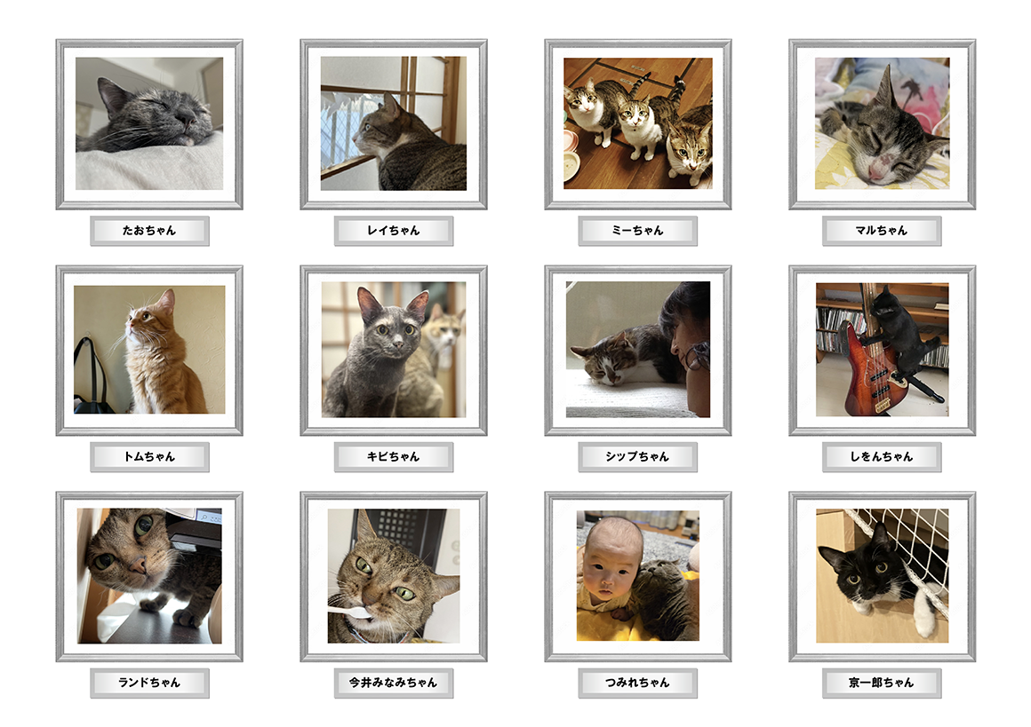 たおちゃん／レイちゃん／ミーちゃん／マルちゃん／トムちゃん／キビちゃん／シップちゃん／しをんちゃん／ランドちゃん／今井みなみちゃん／つみれちゃん／京一郎ちゃん