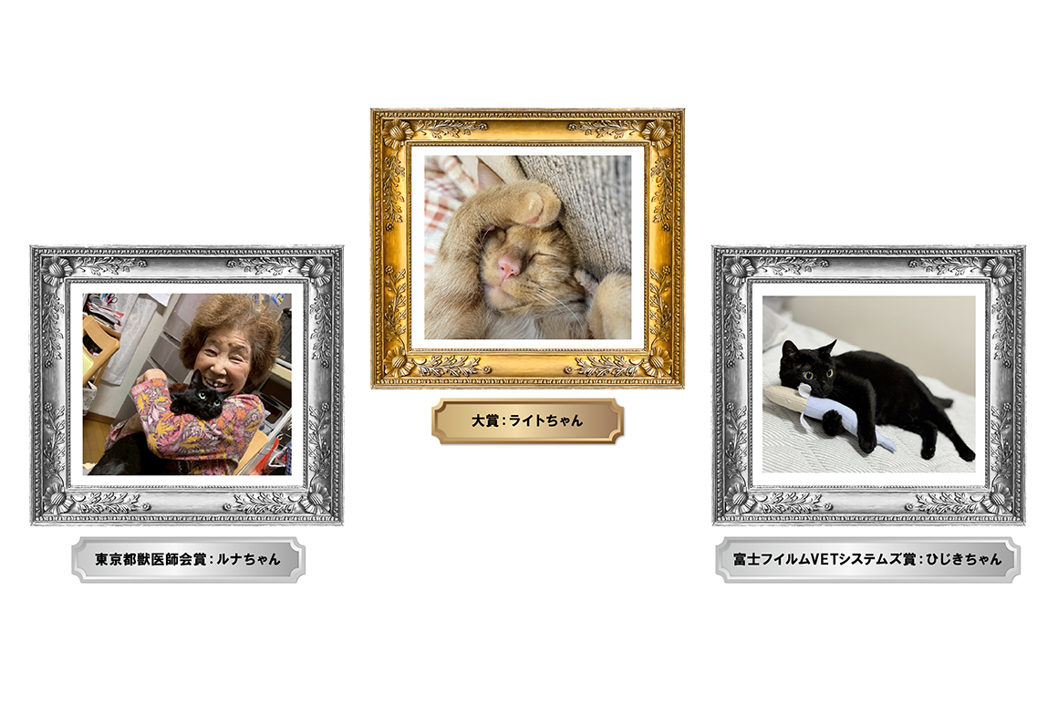 大賞：ライトちゃん／東京都獣医師会賞：ルナちゃん／富士フイルムVETシステムズ賞：ひじきちゃん