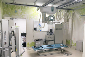 植物が配置された一般検査室デザインクロス事例 ​​