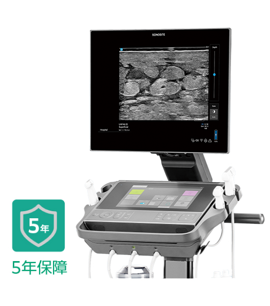 Sonosite LX斜め画像