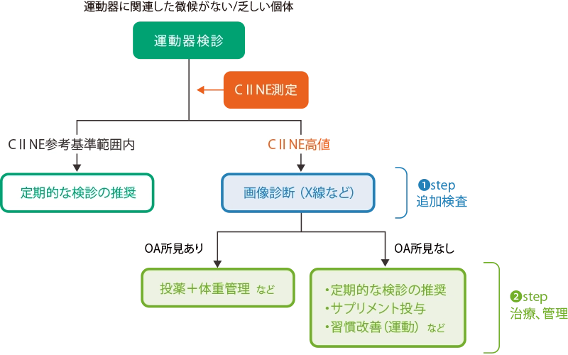 尿中CⅡネオエピトープ/クレアチニン比（CⅡNE）の検査結果の評価とアクション