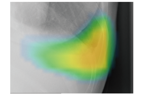 ヒートマップのみ表示の場合のイメージ図