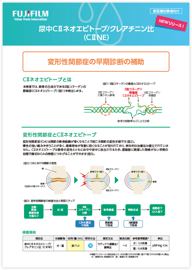 ダウンロードファイルイメージ